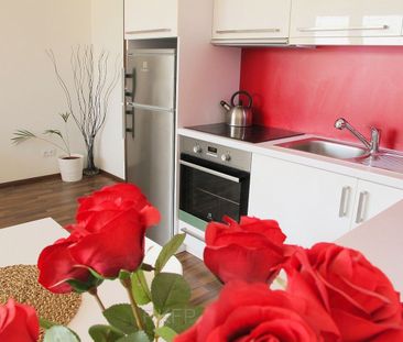 Pronájem bytu 1+kk 33 m² - Photo 4