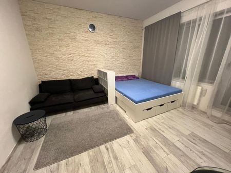 Pronájem bytu 1+kk • 36 m² bez realitkyKrakovská, Praha - Nové Město - Photo 5