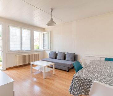 Location Appartement 3 pièces Meublé 63m² ANNECY 74000 - Photo 4