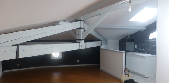 Location Appartement 2 pièces 32m² CASTRES 81100 - Photo 2