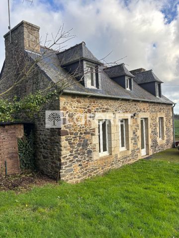 House - Photo 5