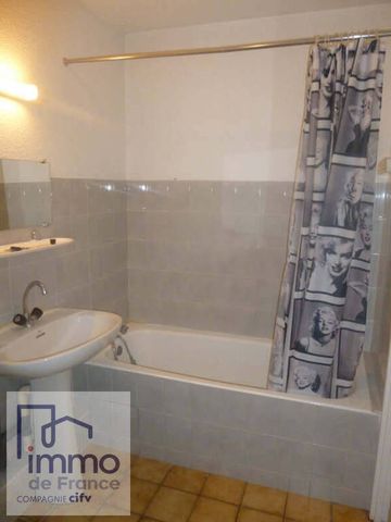 Location Appartement 1 pièce 29m² GRENOBLE 38000 - Photo 4