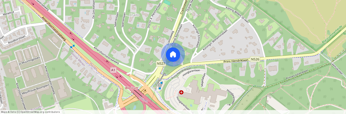 Prins Hendriklaan 38, 1261 AJ, Aj Blaricum