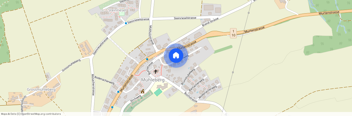 3203, Mühleberg, Brunnweg, 7