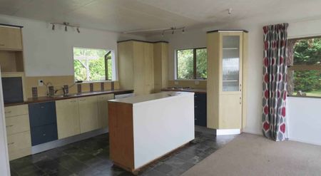 Sun Sun & More Sun - Photo 2