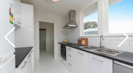 Warm house with lots of day light - Photo 3