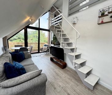 40 Balmoral Court, Belfast, BT9 7GR - Photo 4