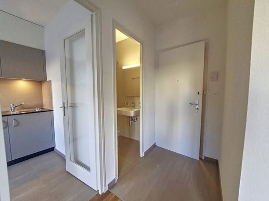 Joli appartement de 1 pièce au rez, 33m2 - Photo 1