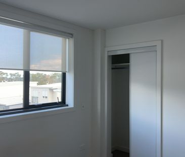 Elevation, Location, Sophistication - Mt Eden - Photo 4