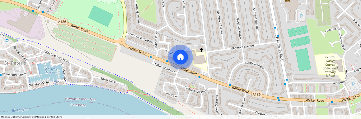 Callaly Way, Newcastle upon Tyne, Tyne and Wear, NE6 2XD