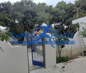 Μονοκατοικία για ενοικίαση Άγιος Νικόλαος (Αρτέμιδα (Λούτσα)) - Photo 6