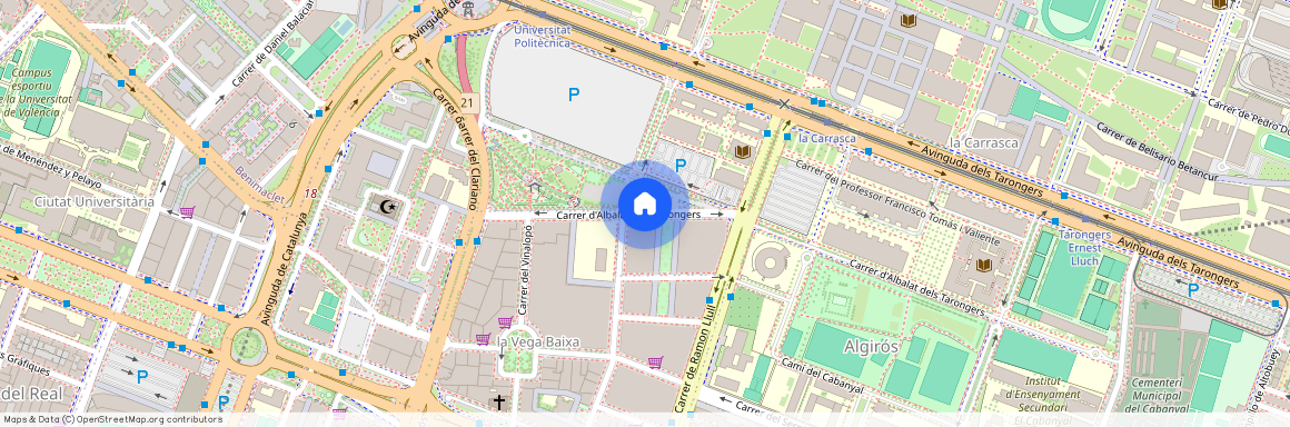 Carrer dAlbalat dels Tarongers, Valencia, Valencian Community 46021