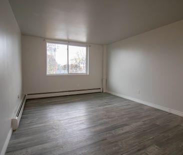 **All Inclusive** Charming 1-Bedroom Apartment in St. Catharines - Photo 6