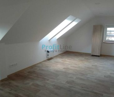 Pronájem bytu 1+kk 53 m2 - Fotografie 6