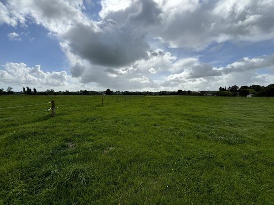 80 Churcher Street, Feilding, Manawatu - Photo 1