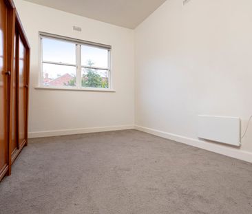 In the Heart of it All - Photo 3