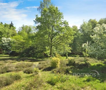 Titness Park, London Road, Ascot, SL5 - Photo 6