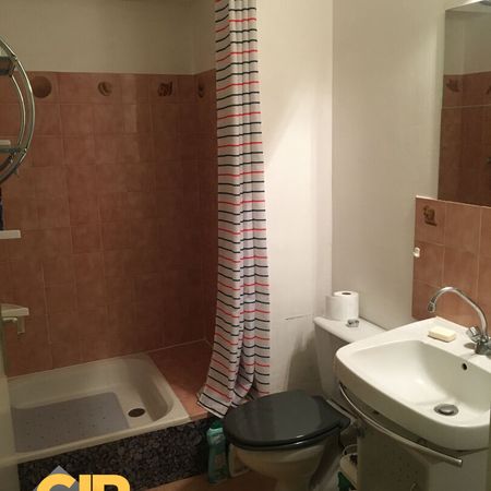 Location Appartement 1 pièce 19m² CESSON SEVIGNE 35510 - Photo 3