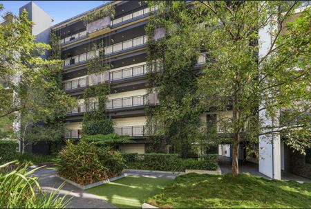 52b/356-368 George Street, Waterloo NSW 2017 - Apartment For Rent | Domain - Photo 4