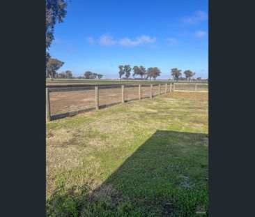 Peaceful Country Living Just 10 Minutes from Shepparton - Photo 5