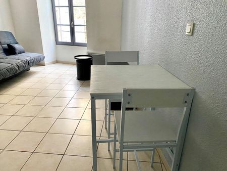 Location Appartement 1 pièce 29m² AUBENAS 07200 - Photo 3