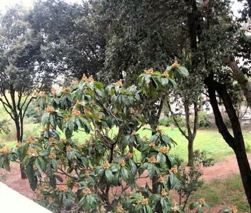 Via Giuseppe de Robertis, Rome, Lazio 00143 - Photo 6