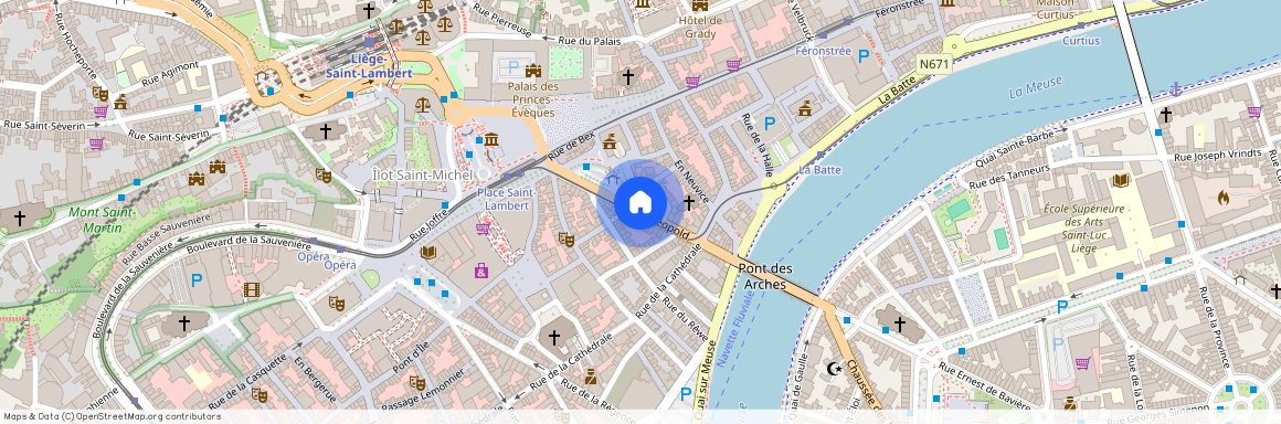 rue Léopold, 350051, 4000, Liège