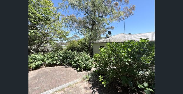 Mountains Cottage with Studio! - Photo 1