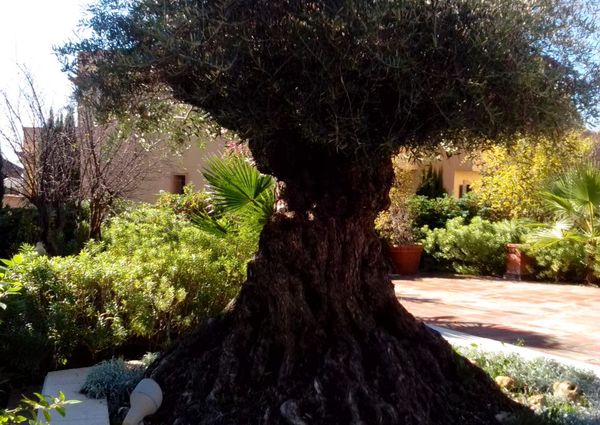 Ref. 35248 Exclusivo apartamento