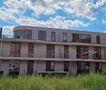 Appartement te huur in Puurs voor € 815 met 1 slaapkamer - Photo 5