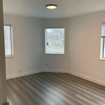 Large Renovated 1 Bedroom in Great Location - Photo 3