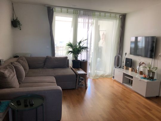 Recherche de locataire: Immeuble neuf / Minergie – Regensdorf par 1.10.2021 - Foto 1