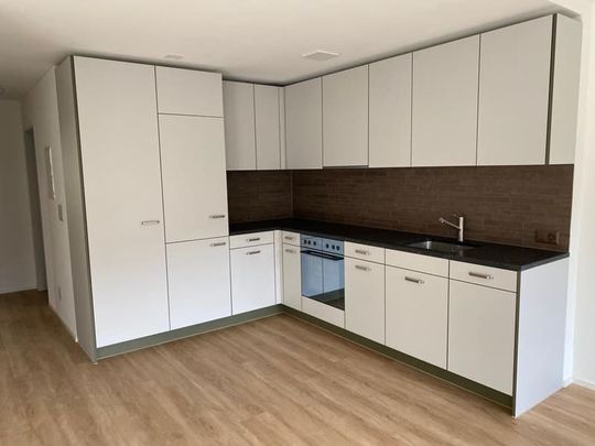 "Komplett sanierte, grosszügige Single-Wohnung mit zwei Terrassen" - Foto 1