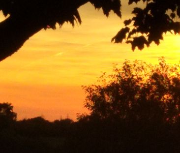 For Lease - 4576 Kalar Road, Niagara Falls, Ontario - Photo 6