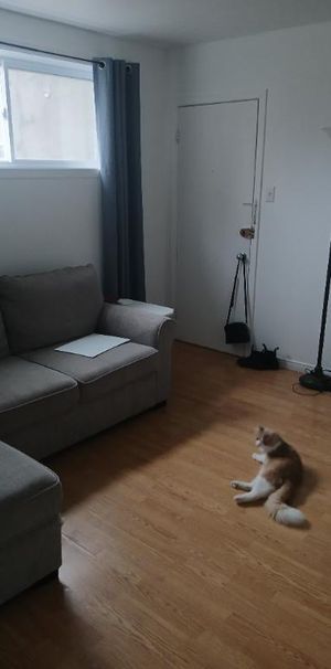 Logement 3 1/2 à Trois-Rivières - Photo 1