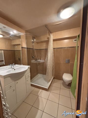Location Appartement 1 pièce 23m² LES ANGLES 66210 - Photo 4