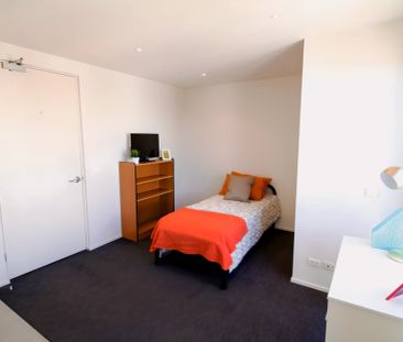 Standard Studio - Photo 2