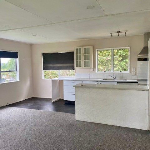 ISLAND VIEW ROAD - Photo 1