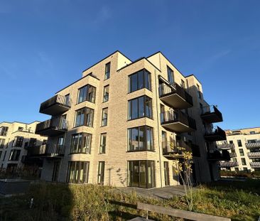 Wohnung Miete / Pacht 21502 Geesthacht - Foto 1