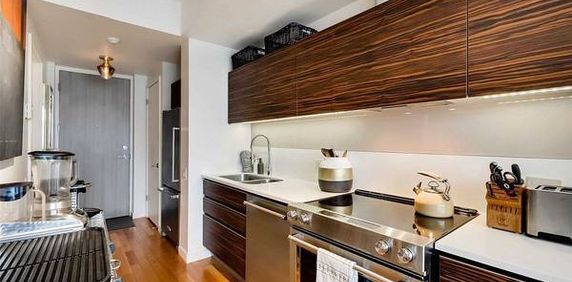 1 Bedroom, 1 Bathroom - Clear Spirit Condos - Photo 2