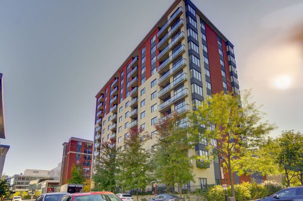 Appartement à louer, Montréal (Ville-Marie) - Photo 1