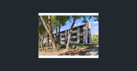 Neat and Tidy - Photo 4