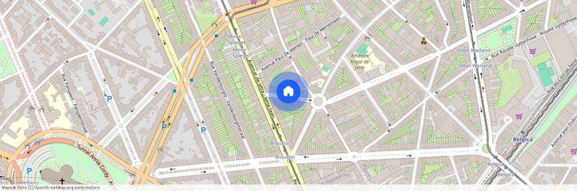 Avenue Van Beesen - Van Beesenlaan, xx, 1090, Jette
