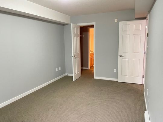 1 Bedroom at Old Yale Heights! - Photo 1