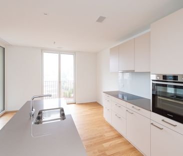 2.5 Zimmer, 62 m², 1. Stock - Photo 2
