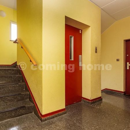 Modern Single-Living - Photo 2