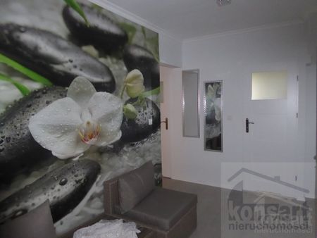 Stołczyńska, ZACHODNIOPOMORSKIE, SKOLWIN, Szczecin - Фото 3