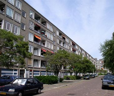 Den Haag, Barnsteenhorst - Foto 4