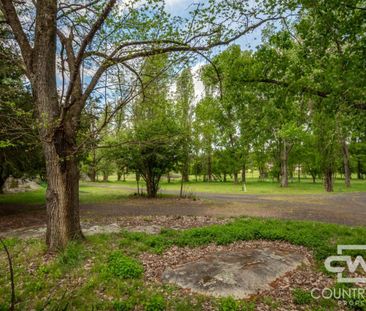 Self Contained Cabin close to town ready for permeant rental - Photo 5