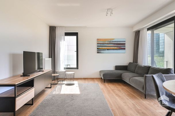 Gemeubileerd appartement met 2 slaapkamers en terras te huur - Foto 1